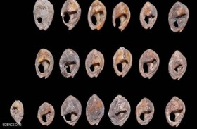 اكتشاف أقدم مجوهرات .. عمرها آلاف السنين