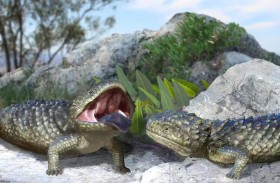 أغرب سحلية .. هيكل أحفوري ضخم