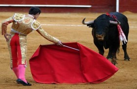 فوز فيلم عن مصارعة الثيران بجائزة الصدفة الذهبية 