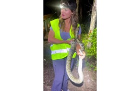 حسناء تُدهش متابعيها بمصارعة ثعبان 