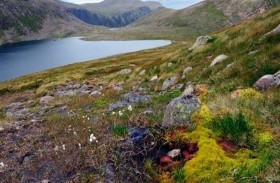 رصد النجوم ومشاهدة الحياة البرية في المتنزهات البريطانية