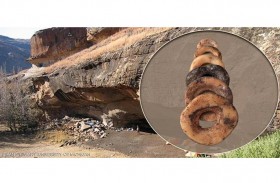 علماء: حلي العصر الحجري كانت بمثابة زر الإعجاب 