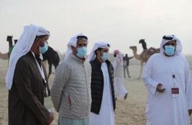 مشاركة واسعة في أشواط الثنايا المجاهيم بمزاينة الإبل