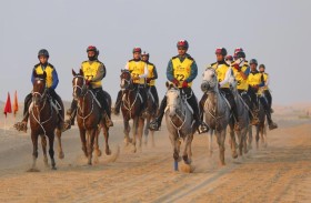 دائرة الصحة- أبوظبي تؤكد جاهزيتها لتقديم الرعاية الصحية المتكاملة بمونديال القدرة