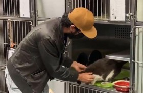 قط يعود إلى صاحبه بعد 4 سنوات