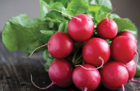 فوائد الفجل