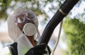 فيروس «تشيكونغونيا» يضرب الصين بقوة 