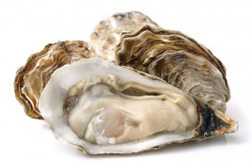 أكل المحار فصدم بكنز