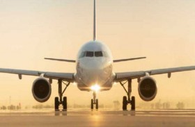 سرب من الطيور يعطل رحلة جوي