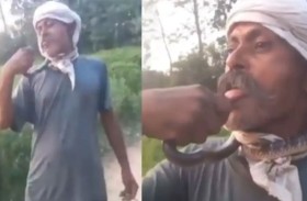 خمسيني بين الحياة والموت بعد تقبيل كوبرا