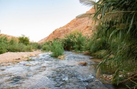 بين الجفاف والتعديات الاستعمارية.. مواطنو الأغوار يحرمون من مياه العوجا
