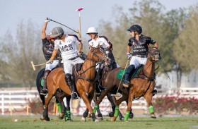 بن دري وجها لوجه مع الذئاب والإمارات يتحدي الحبتور اليوم 