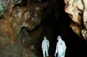 نتيجة مخيفة من داخل كهف الخفافيش