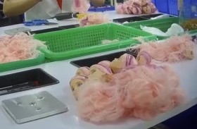 فضيحة بمصانع الدمية الشهيرة «باربي» 