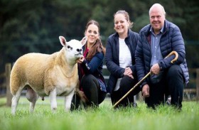 بيع أغلى خروف بالعالم