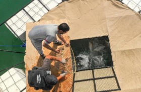 التغير المناخي تطلق مشروع  حاضنات الأسماك  لتعزيز  تكاثر واستدامة الثروة السمكية