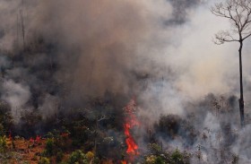 حرق بريطاني حياً في غابات الأمازون 