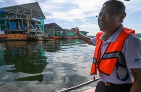 مزرعة أسماك مستقبلية في سنغافورة لزيادة الإنتاج 