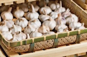 حيلة لتخزين الثوم تبقيه طازجاً لمدة 6 أشهر