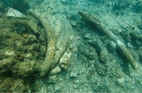 سفينة غارقة تكشف أسراراً عن «فاسكو دا غاما»