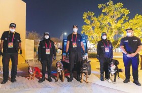 شرطة دبي تستعرض قدرات التدريب ومهارات التفتيش للكلاب البوليسية