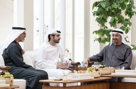 رئيس الدولة يستقبل حمدان بن محمد بن راشد