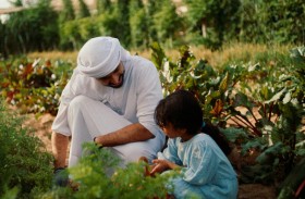 عام الاستدامة يطلق فعاليات وأنشطة تعزز العمل الجماعي