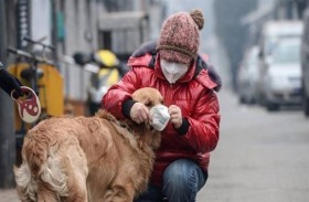 كيف تدرّب كلبك على وضع الكمامة؟