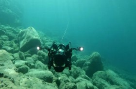 «بلح البحر» يكشف سراً عمره 130 عاماً 