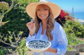 لماذا يعتبر التوت الأزرق  مفتاحا للصحة المثالية؟