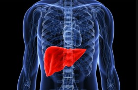 العضو الأكثر أهمية في الجسم «لتحديد متوسط ​​العمر المتوقع»