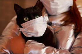 مأساة كورونا جديدة.. الفيروس فتك بالقط ثم خطف صاحبه