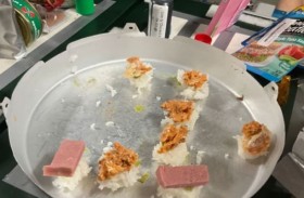 سوشي في الفضاء