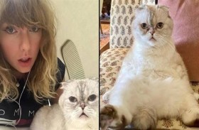 ثروة قطة تايلور سويفت 97 مليون دولار فقط!