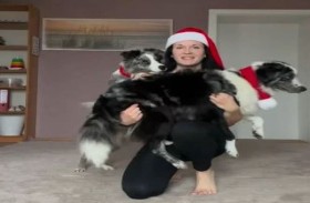 كلاب ترقص على موسيقى الكريسماس 