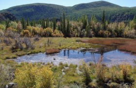 علماء: 20 بالمئة من الأراضي الرطبة في العالم قد تختفي عام 2050