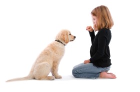 تعرّض الأطفال للحيوانات في المزارع يقلل الحساسية