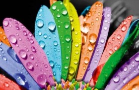 العلاج بالألوان والضوء.. سر كبير في الأزرق والأخضر